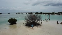 Pemandangan Pantai Pasir Perawan
