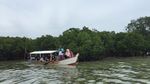 Pulau Pari, Destinasi Favoritnya Warga Jakarta