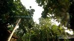 Pulau Pari yang Selalu Cantik dalam Bidik Kamera