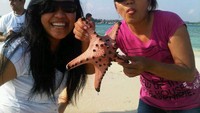 Ada Patrick.........teman Sponge Box