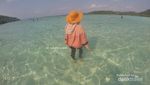 Pulau Pasir Timbul, Si Kecil Nan Unik di Lampung
