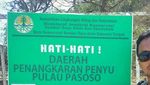 Pulau Pasoso, Rumahnya Penyu Hijau