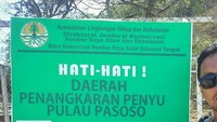 Penangjaran Penyu