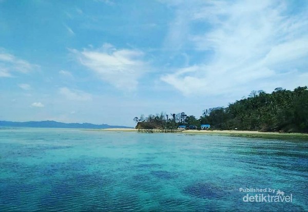 Pulau Pasoso, Rumahnya Penyu Hijau