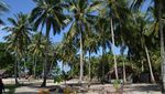 Pulau Pasumpahan Nan Elok Permai di Sumatera Barat Pulau Pasumpahan Nan Elok Permai di Sumatera Barat