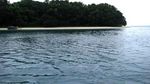 Pulau Peucang, Tempat Sempurna untuk Akhir Pekan