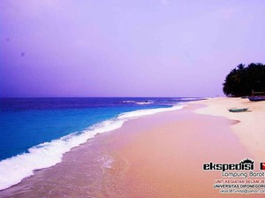 Pulau Pisang, Surga Bawah Laut di Lampung