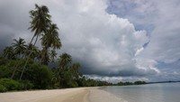 Ditambah pohon kelapa di sepanjang pesisir pantai