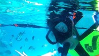 Snorkeling sampai puas