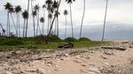 Pulau Rusa, Pulau Cantik Tak Berpenghuni di Aceh