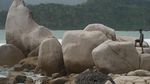 Pulau Rusa, Pulau Cantik Tak Berpenghuni di Aceh