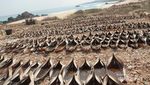 Pulau Sabu, Si Kecil yang Cantik di Timur Indonesia
