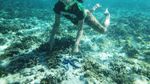 Pulau Samber Gelap, Namanya Seram Tapi Pemandangannya Indah