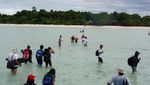 Pulau Sangalaki, Saksi Sebuah Kehidupan Bayi Penyu