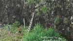 Pulau Sangiang, Surga Kecil di Banten