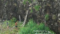 Trekking di alam liar