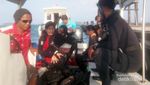 Pulau Sepa, Si Cantik yang Tak Jauh dari Jakarta