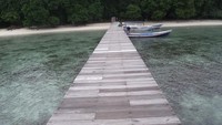 Saking jernihnya pelancong bisa melihat dasar laut di permukaan