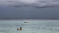 Berenang, snorkling dan diving bisa di lakukan di sekitar P. Samalona