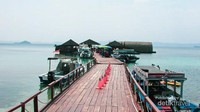 Penyandaran kapal tempat turun naiknya pengunjung Pulau Tegal Mas