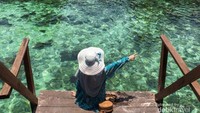 Kejernihan Air Laut dan ada Ikan hiu kecil-kecil loh dibawah sini