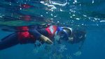 Pulau Tengah, Bagai Oase di Tengah Laut Jawa