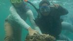 Pulau Tidung, Destinasi Akhir Pekan Asyik di Utara Jakarta