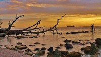 Keindahan saat senja (Aditya Ramadhan/dtraveler)