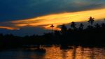 Pulau Tunda, Tempat Melihat Lumba-lumba & Penyu di Banten