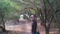 hutan bakau dipedalaman
