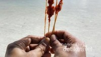 Sate Pokea alias Sate Kerang, enak banget!