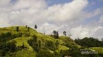 Pulisan, Bukit Hijau Berselimut Lautan Biru