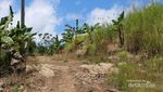 Pulisan, Bukit Hijau Berselimut Lautan Biru