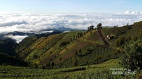 Puncak B29
