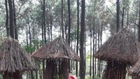 Rumah ranting Puncak Becici