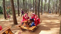 Tempat duduk unik dari kayu untuk bersantai