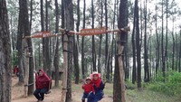 Ayunan dari kayu di hutan pinus Becici