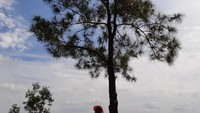 Menikmati panorama alam dari ketinggian Puncak Becici