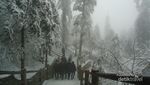 Puncak Emas dan Winter Wonderland di Gunung Emei China