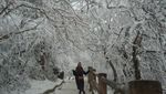 Puncak Emas dan Winter Wonderland di Gunung Emei China