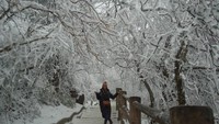 Pesona Gunung Emei di musim dingin laksana winter wonderland. Dimana semua dahan,ranting berwarna putih tertutup salju. Cantik.