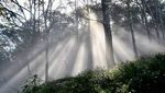 Puncak Gunung Mutis yang Eksotis