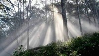 Meski saat siang hari, udara puncak gunung ini tetap terasa sejuk.