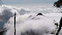Pemandangan dari puncak gunung mutis.