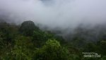 Puncak Lawang, Negeri di Atas Awan dari Sumatera Barat