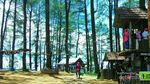 Puncak Lawang, Spot Terbaik Melihat Danau Maninjau dari Ketinggian