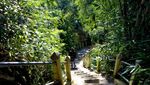 Puncak Suroloyo yang Istimewa