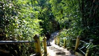 Untuk mencapai atas puncak, anda harus melewati anak tangga ini dahulu
