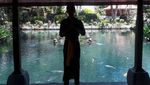 Pura Tirta Empul Nan Syahdu di Bali