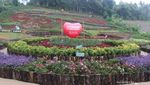 Purbalingga Punya Kebun Bunga Secantik Ini